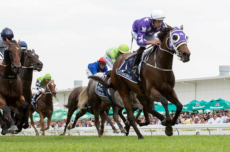 Star Queensland-bred mare Invincibella created history at the Gold Coast in January when she won a third consecutive edition of the $1,000,000 Magic Millions Fillies and Mares (1300m). The Group 1 winner will be sold at the upcoming Magic Millions National broodmare sale. Picture: Magic Millions