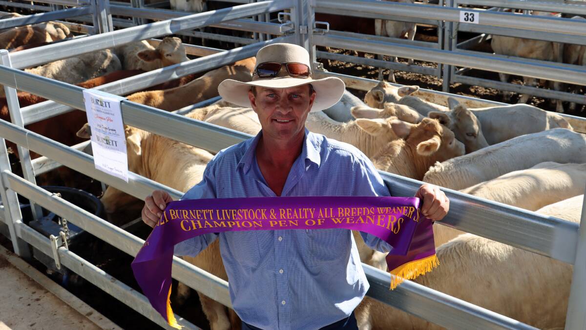 Ashley Trigger, Biggenden, with his pen of champion weaners, and winner of the Charolais infused class. The Charolais cross steers sold for 548.2c/kg or $1787/hd.