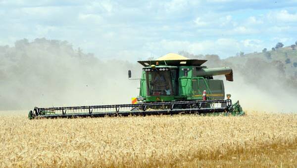 Countdown to Qld wheat and barley harvest under way