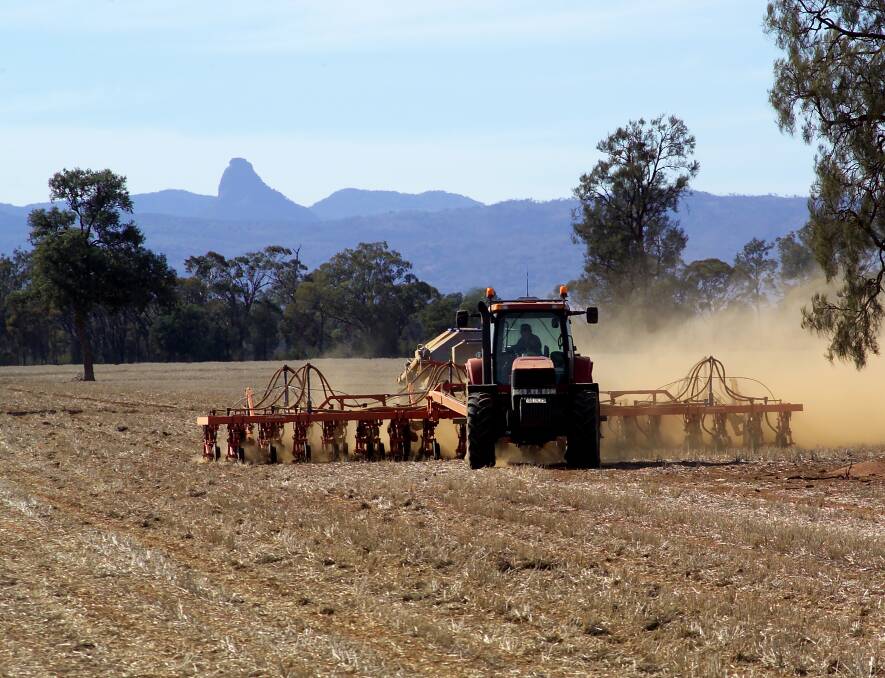 Winter planting under way after patchy rains