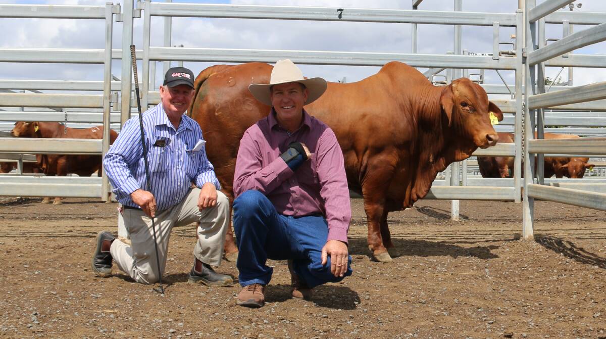 SNAPPED UP: Vendor John Atkinson, Glenavon Droughtmasters and Shane Perry, Strathfield Droughtmasters, Fletcher’s Awl, Clermont. 