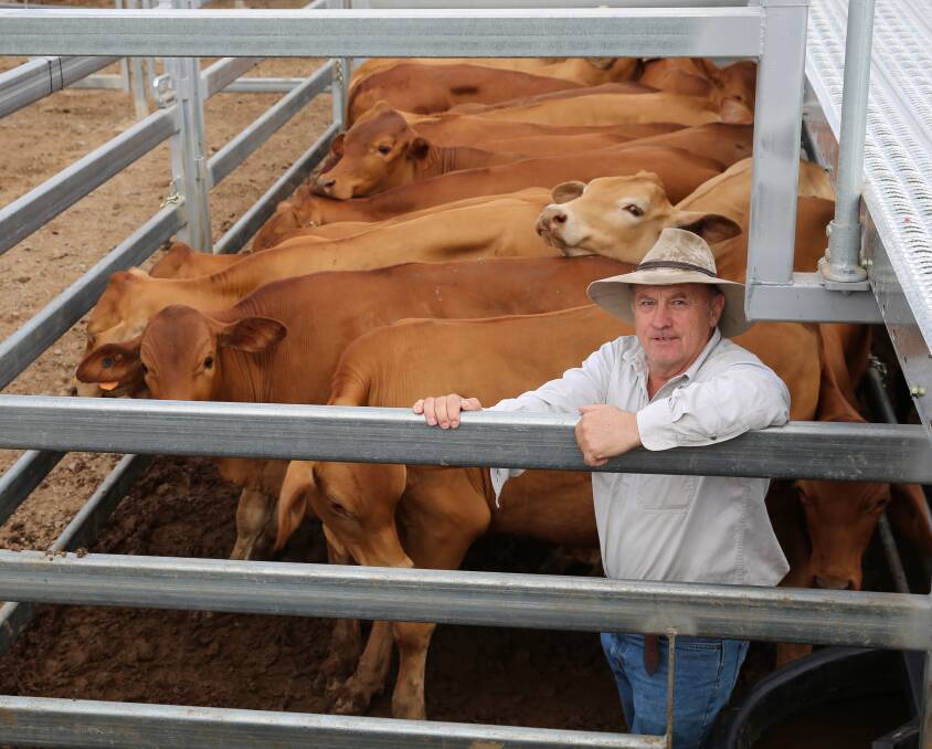 Rob Watkins, Eureka, with a pen of his Droughtmaster weaner steers that sold for 284.2c/kg or $738/head.
