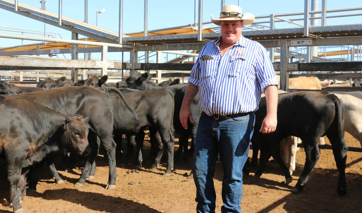 MAA Roma agent Seamus Filan with Stinson Pastoral Co, Roma, Angus cross steers that sold to 846c/kg reaching a top of $1949 to average $1858.