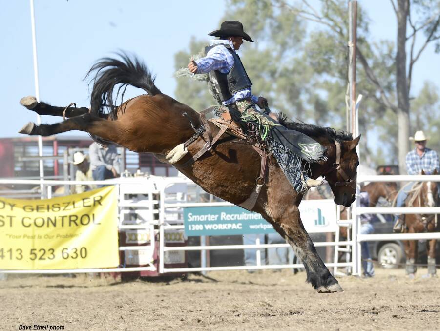 Cameron Webster goes into the national finals in saddle bronc as the pro tour winner.  Picture: Dave Ethell 