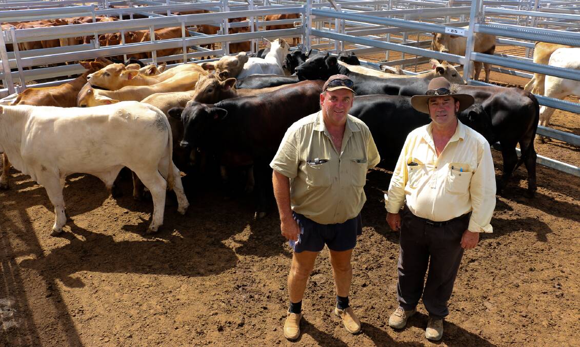 Ray White Roma agent Jack Clanchy with vendor Trev Kelly. The steers sold to 430c/kg, reaching a top of $1196 to average $1041. 