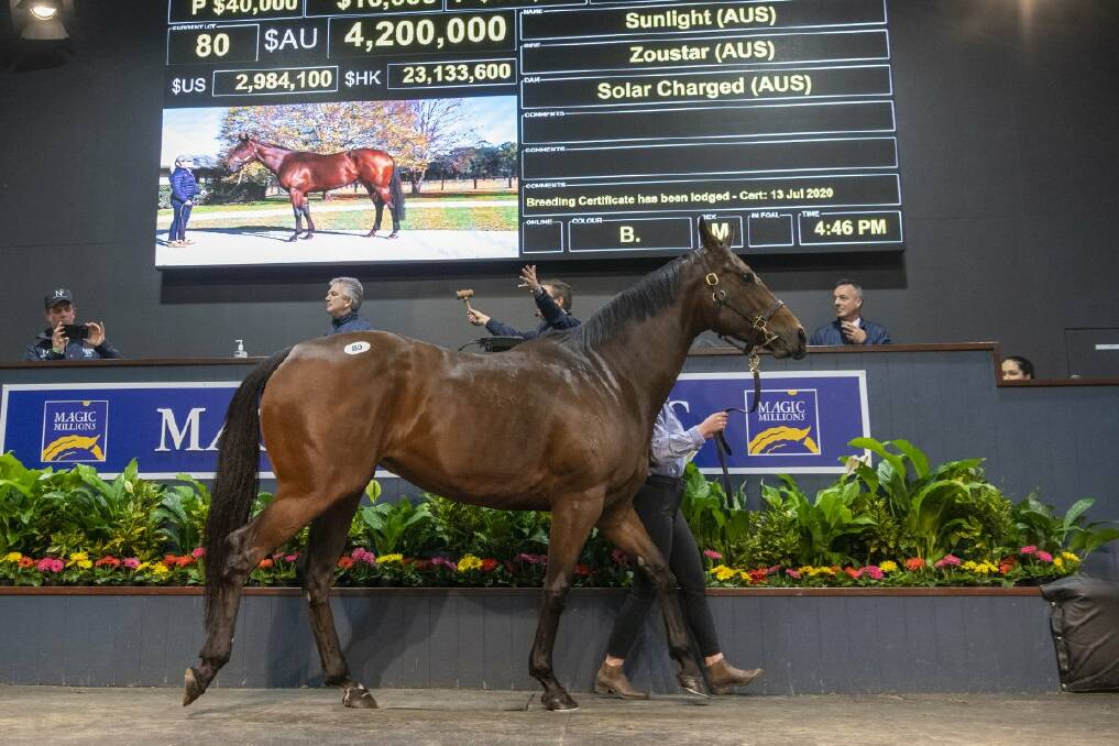 The all-time Magic Millions auction record price of $4.2 million was paid by Coolmore Stud for champion mare Sunlight paraded by her long-time strapper and track rider Sarah Rutten. Picture: Magic Millions
