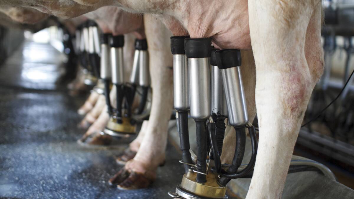 Urgent overhaul of Australia's dairy industry needed