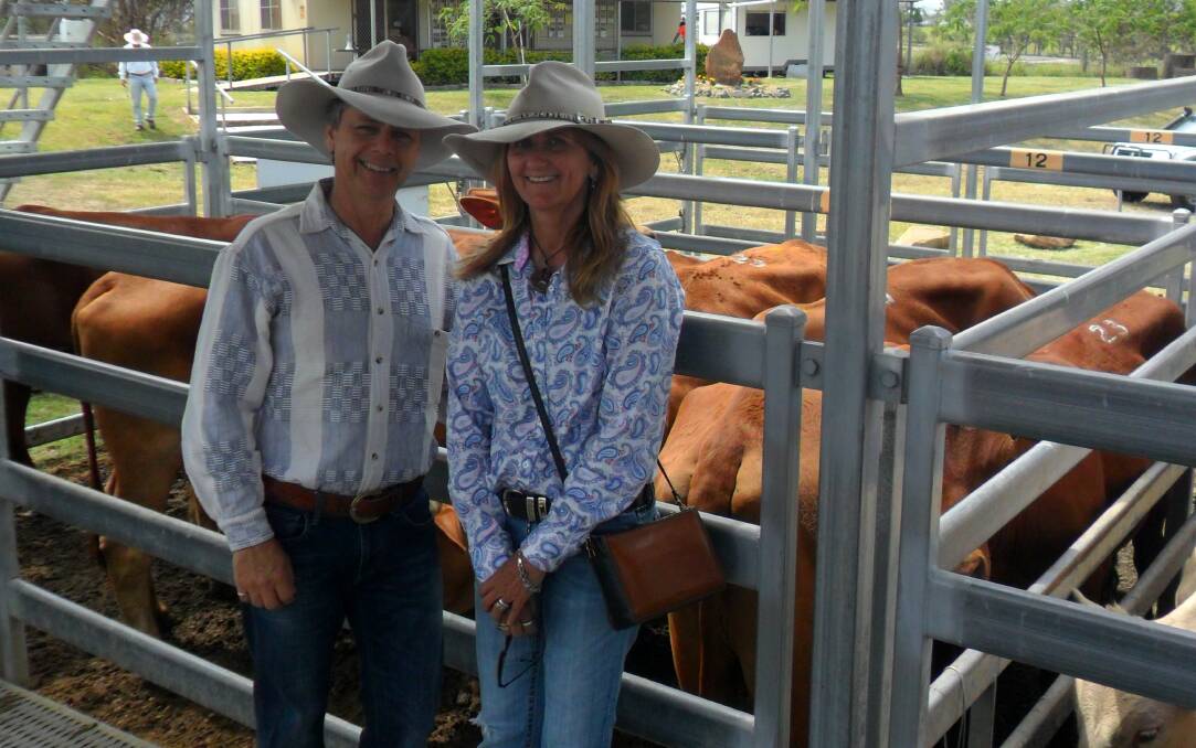 Mick and Shaan Eldridge of Moogerah sold Droughtmaster steers 2 ½ years for $1395.