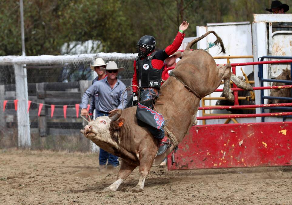 COMPETITION: The Rock rodeo has attracted a lot of bull riders from northern Victoria as well as some timed event stars from Queensland, such as Ben Gard. Picture: Barry Richards