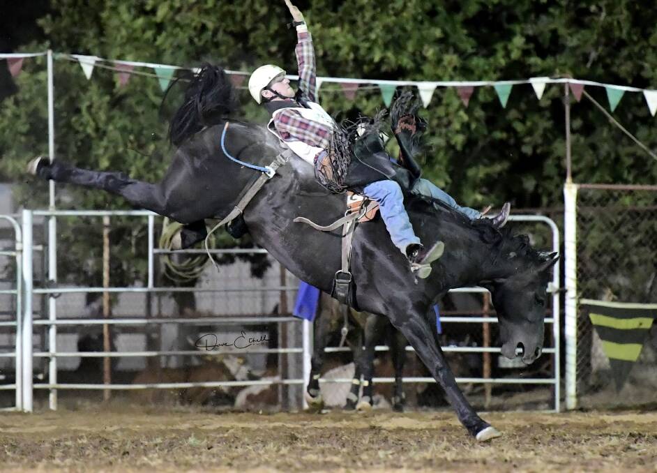 CONTENDER: Jarrod McKane is vying for the lead in the open bareback bronc ride in the APRA. Picture: Dave Ethell 