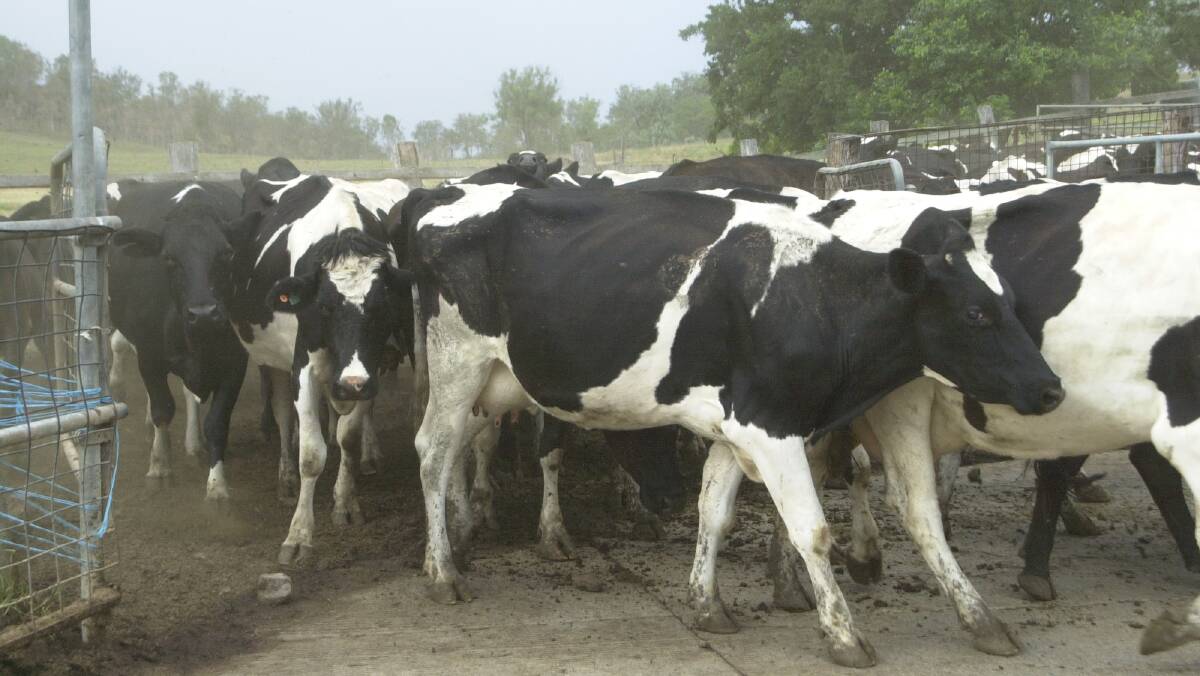 The long-term impact of coronavirus for the dairy industry
