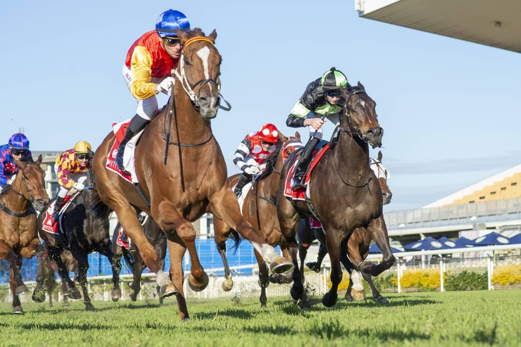 Rockhampton sprinter Inquiry (blue cap) ridden by Ryan Wiggins winning the Listed Spear Chief Handicap at Doomben from Scallopini ridden by Brad Thornton. Picture: Racing Queensland
