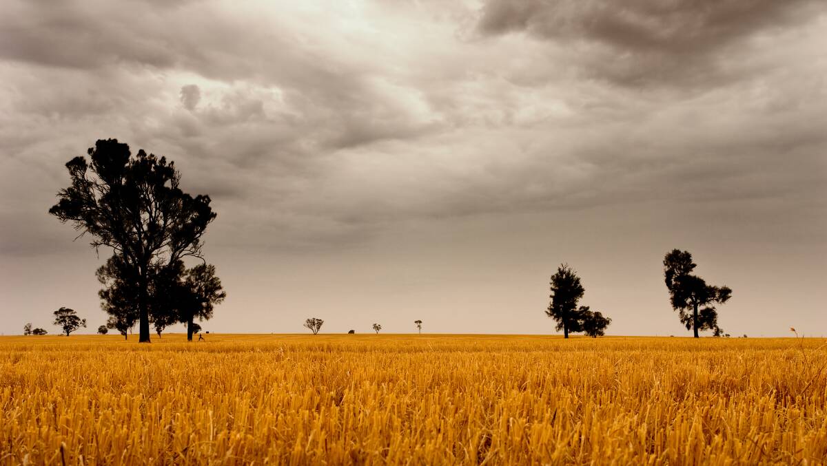 Wild storms welcomed by Queensland farmers