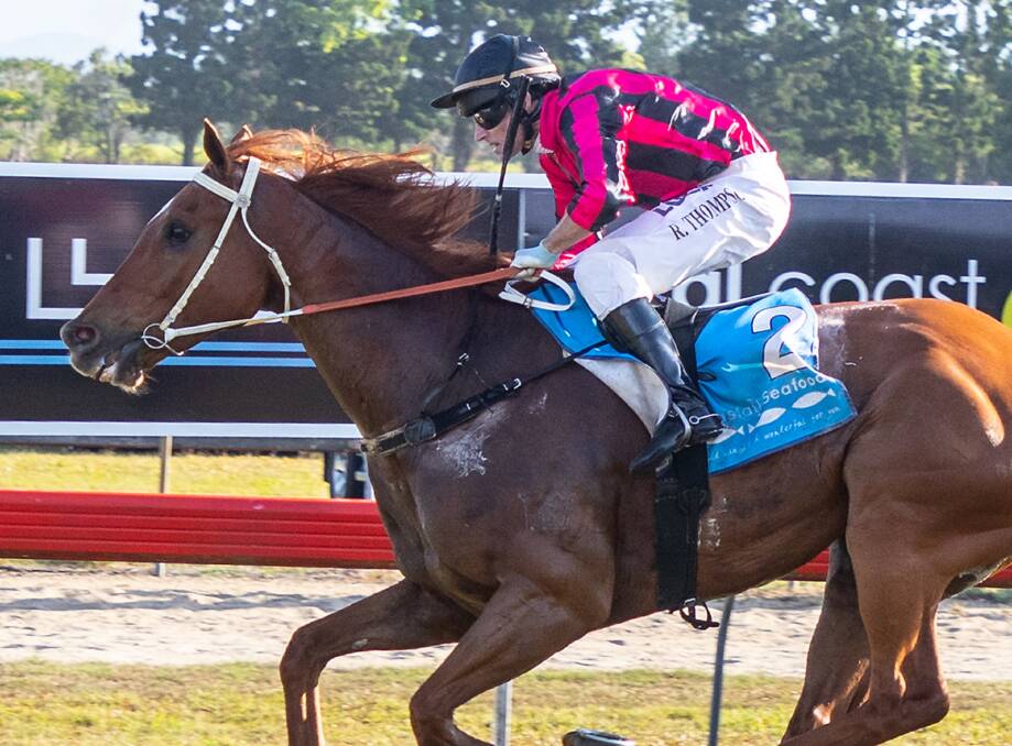 Innisfail Cup winner We Just Love It ridden by Robert Thompson. Picture: Mike Mills