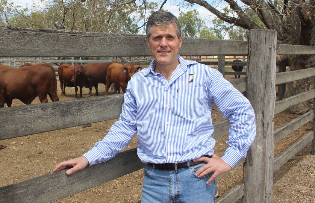 Big business turning its back on rural and regional Queensland - again
