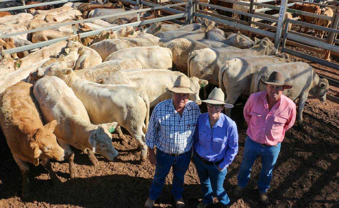 Elders Mitchell agent Dave Phillips and vendors Sandra and Rob Cornish with Cornish Grazing Pty Ltd heifers that sold to 442c/kg, reaching a top of $1680 to average $1650. The steers sold to 446c, reaching a top of $1968 to average $1762.