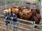 Brad Neven, Watkins and Co, Roma, with his son, Braith, with the steers consigned by Graham Waldron, Longreach. Pictures supplied. 