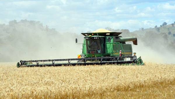 Grain prices choppy as buyers wait for harvest to crank up