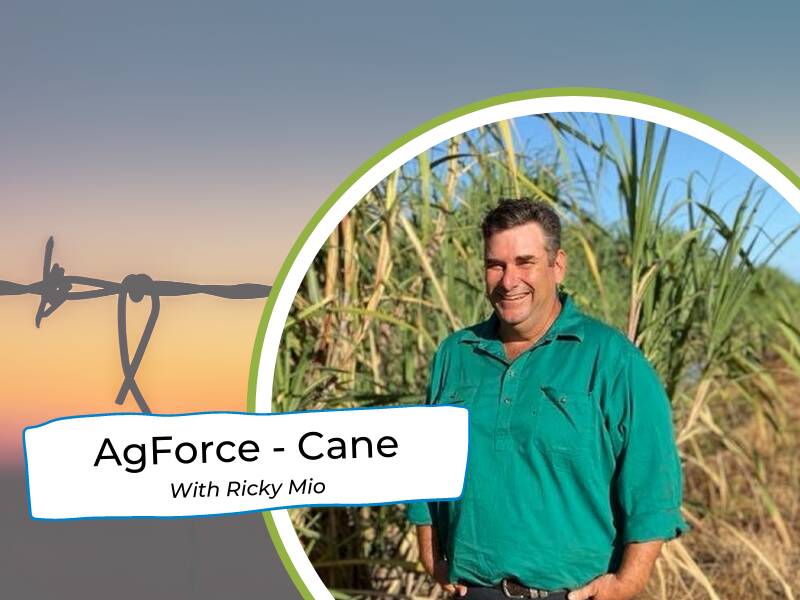 A strong cane industry needs a dynamic leader