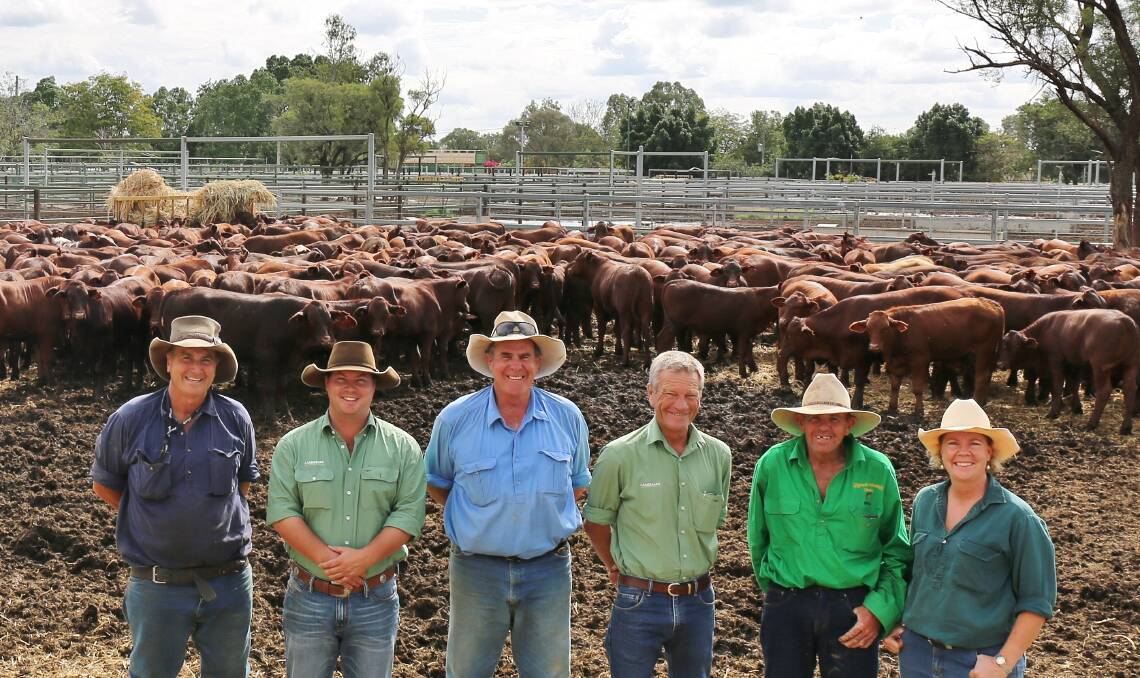 Landmark Blackall’s Matt Henry and Brian Fisher (2nd and 4th from left) together with Alice Downs Grazing’s Rob Johnson, Mike Wacker, Pat Sweeney and Liz Allen after delivery of the steers to the Blackall Saleyards.