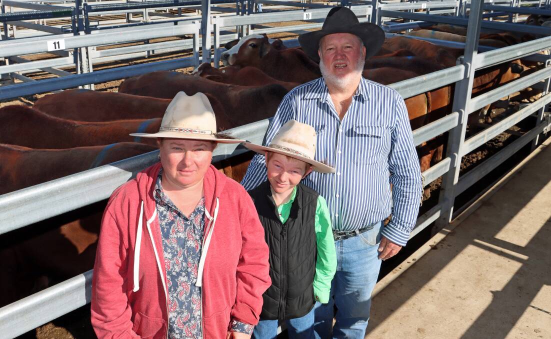 Kylie Hansen and Ryan and Richard Preston, Eidsvold, with a pen of their Simmental cross bullocks that sold for 390.2c/kg or $2590/head.