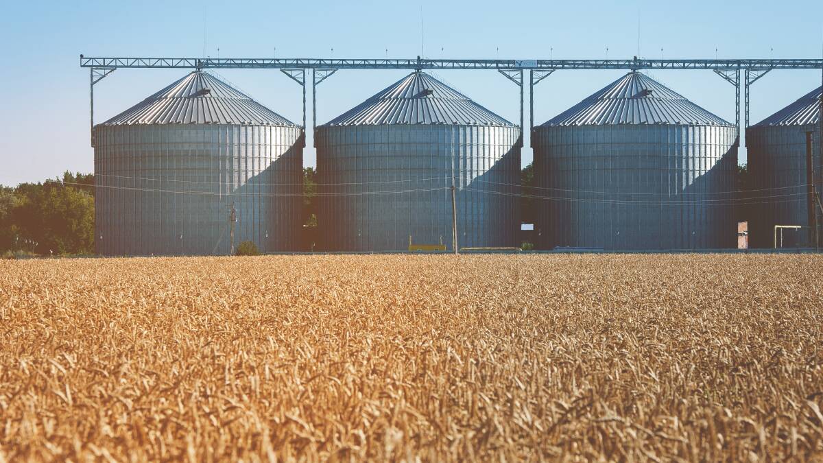Grain supplies tighten as Qld farmers look for rain