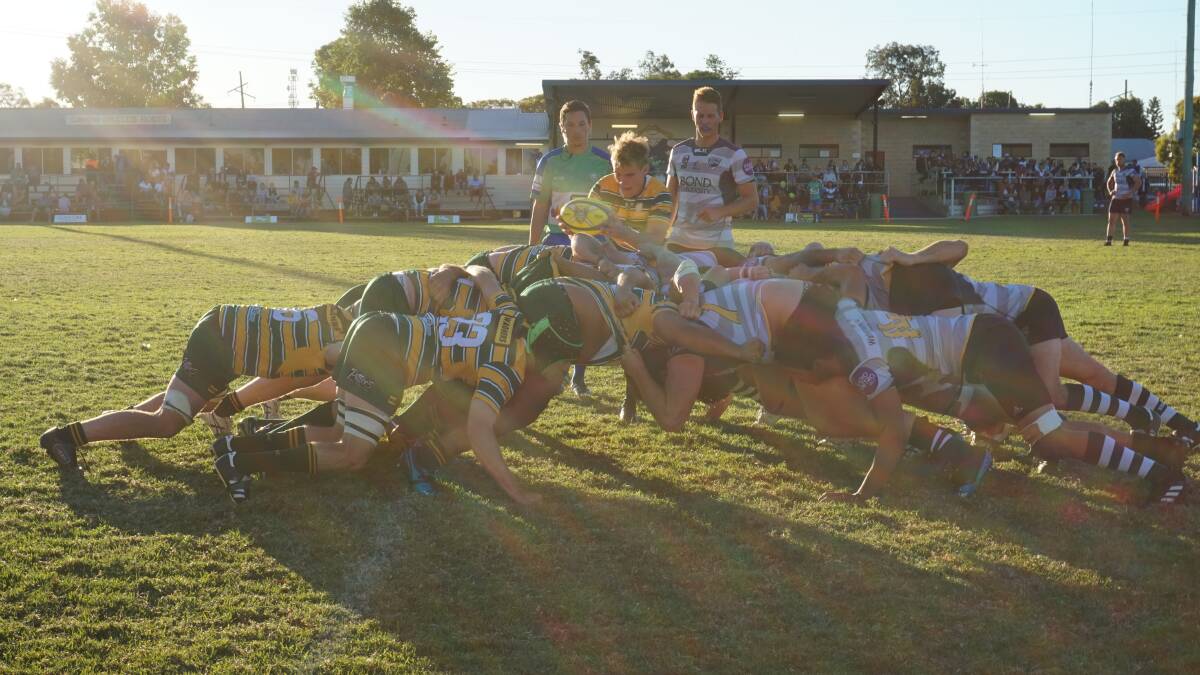 SOUTH QUEENSLAND CHAMPIONSHIPS: Downs Seniors put down a scrum in their match against Gold Coast.