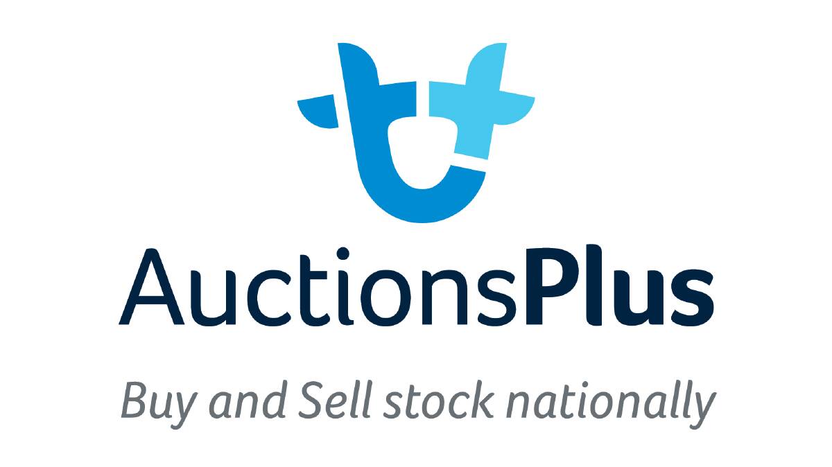 AuctionsPlus cattle numbers double