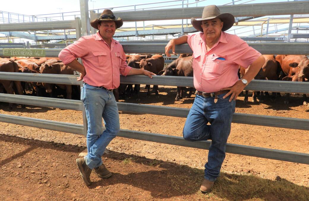 Elders Roma Agents David Phillips and Peter Fleming with a pen of LJ and SG Hanna, Terrarara, Mitchell, steers that sold to 770c/kg, reaching a top of $2578 to average $2383.