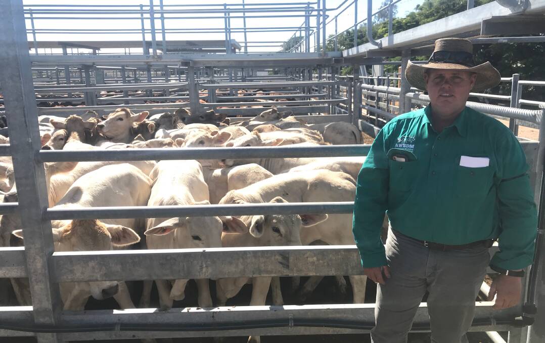 Darren Gillham, Lake Elphinstone, Nebo was happy with his results at Emerald special show sale last week where Darren's heifers made $823/head. 