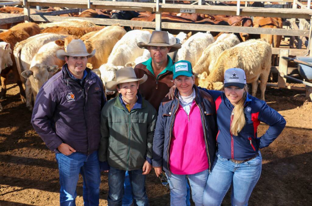 Top X Roma agent Carl Warren with the Anderson family, Lachy, Angus, Antonette and Charly, and a pen of the Anderson heifers which sold to 410c/kg, reaching a top of $1074 to average $993. The steers sold to 443c/kg, reaching a top of $1419 to average $1265. 