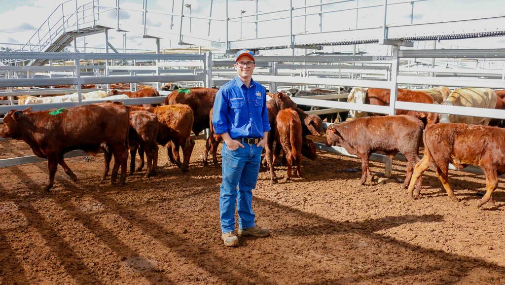 Top X Roma agent Lachie Holcombe with a pen of Richards steers that sold to 515c/kg, reaching a top of $1319 to average $748. 