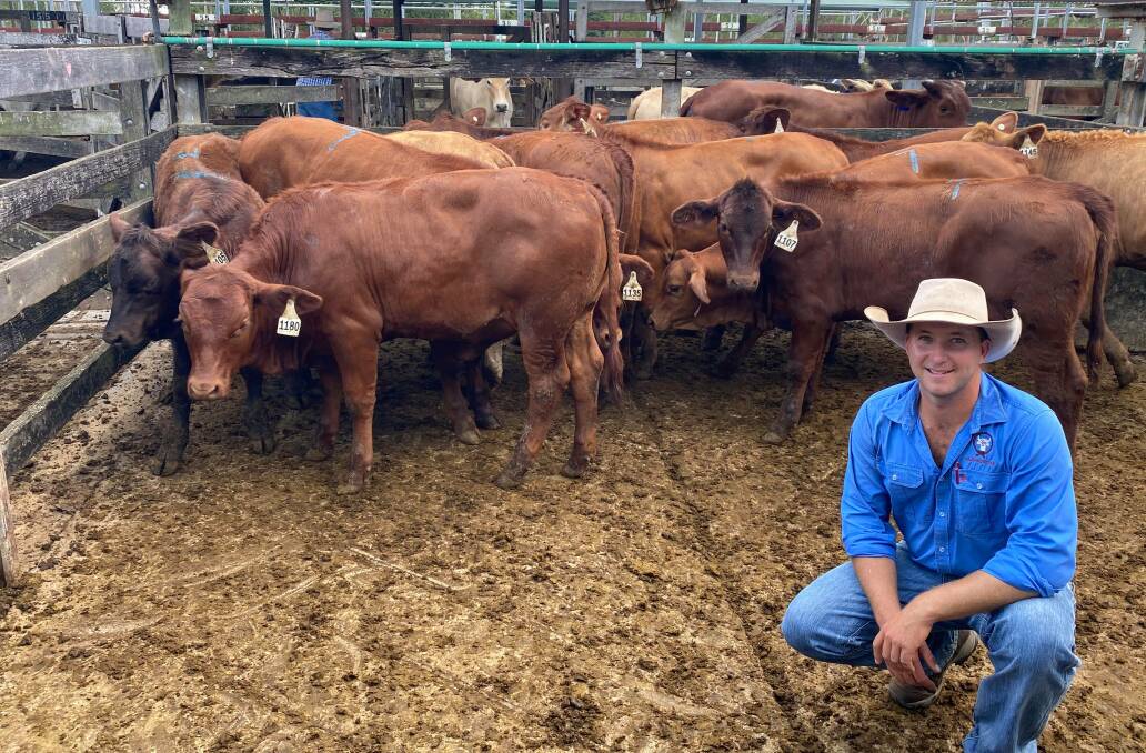 Mitch Jackson, Sullivan Livestock, with quality Charolais cross weaner steers from Noosa Natural Yalanga Station that sold for 666c to return $1725, $1590 and $1434.