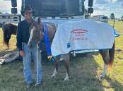 Josh Herrmann pictured with PCD Reyning Metal after winning the Millmerran Show Maiden A Campdraft. Picture supplied
