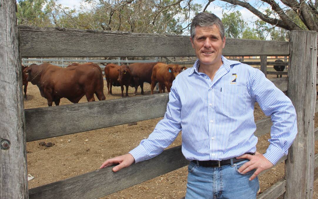 People power at the heart of victory for rural and regional Queensland