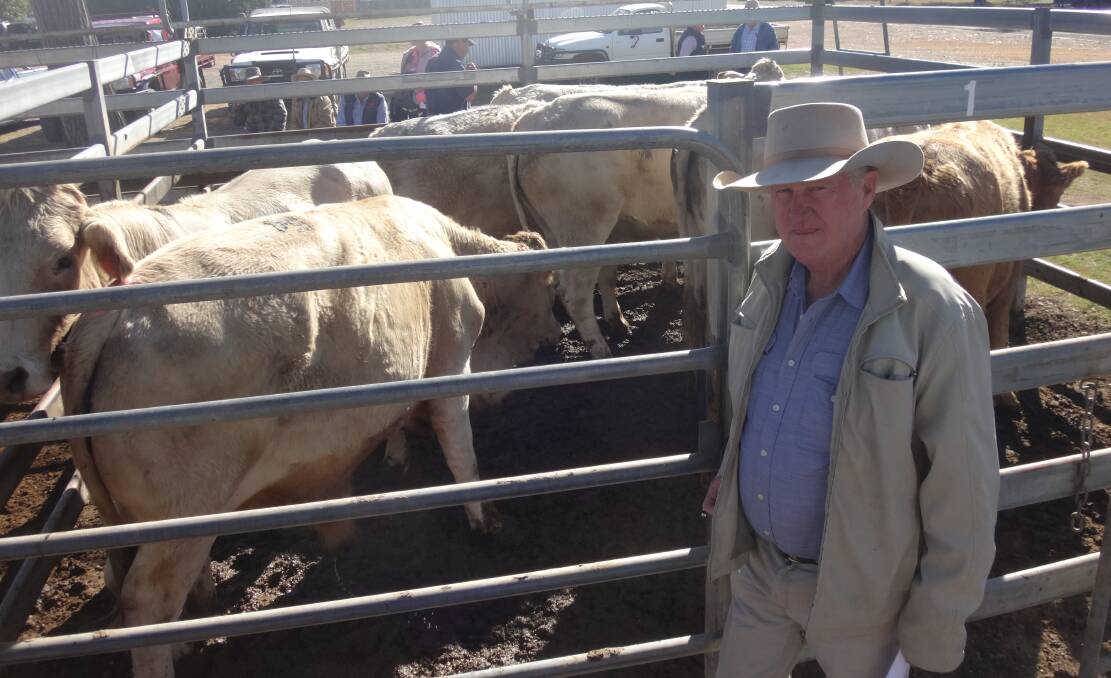Jim Mclaughlin, Rolleston, with a pen of 2 tooth Charolais cross steers that sold for $1350 at Toogoolawah. 