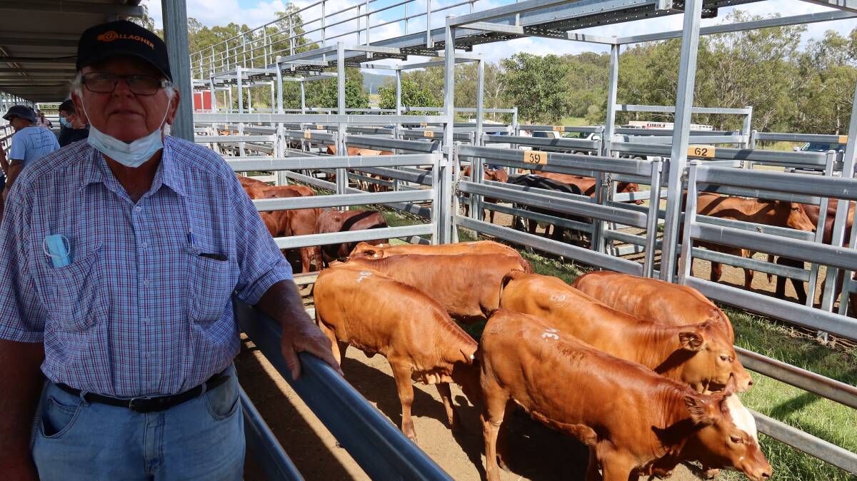 Des Hirn, Haigslea, sold Droughtmaster weaner heifers for $2040.