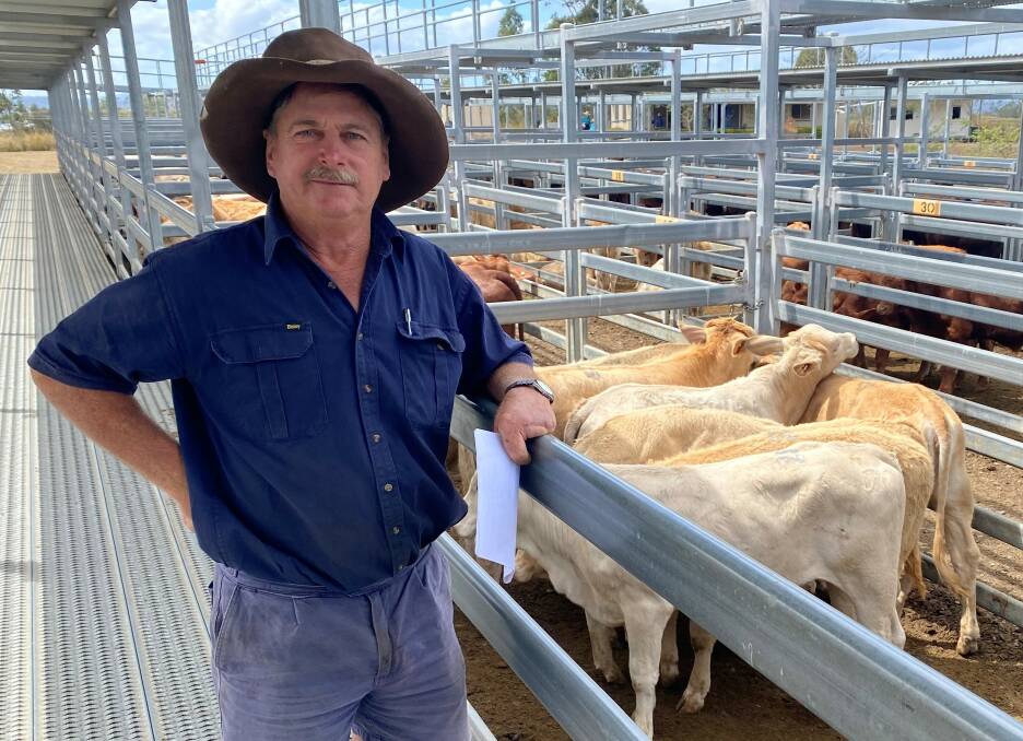  David Trewin, Tru Investments, Gleneagle, sold Charolais cross weaner steers for $950 at Beaudesert.