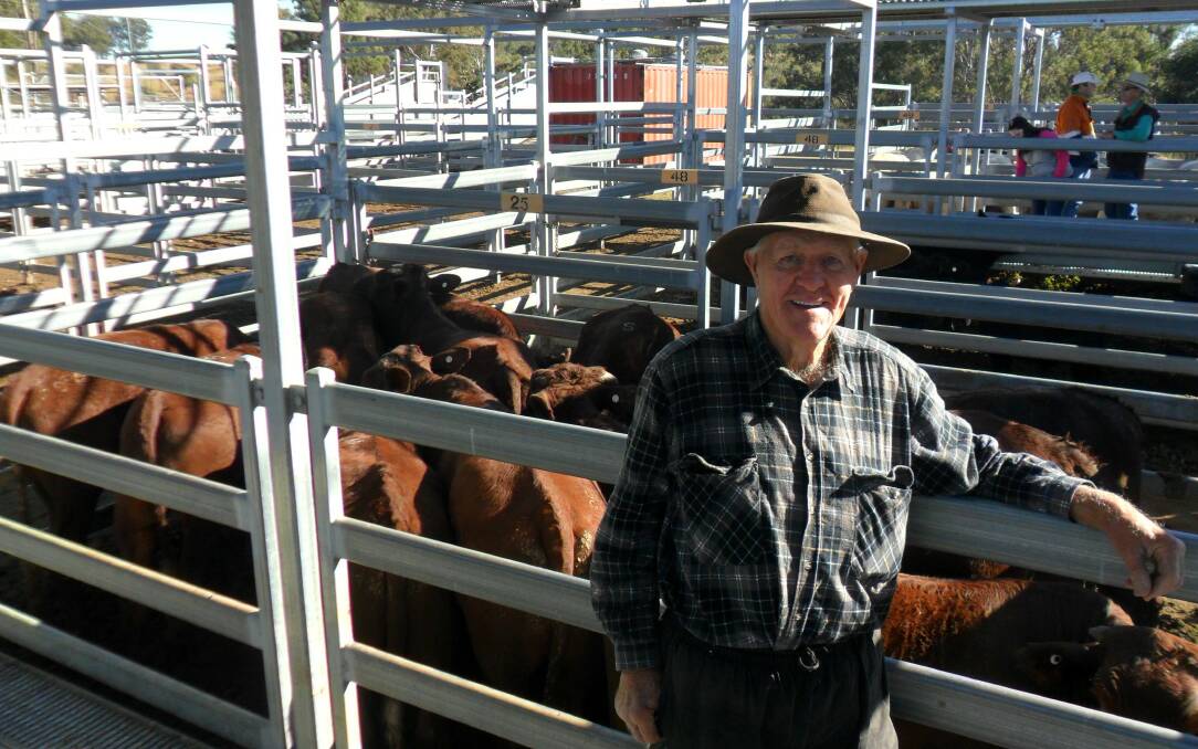  Frank Hester of Tabragalba sold Santa steers 14 months for $880 at Beaudesert sale on Saturday.