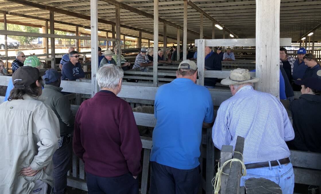 The Queensland Heritage Council will decide whether or not the Beaudesert pig and calf saleyards will be listed on the heritage register. 