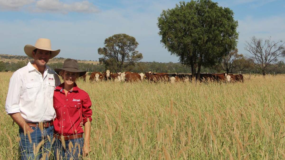 NO COMPROMISE: Sam and Sarah Becker, Jarrah Banana, seek to raise the best possible Herefords.