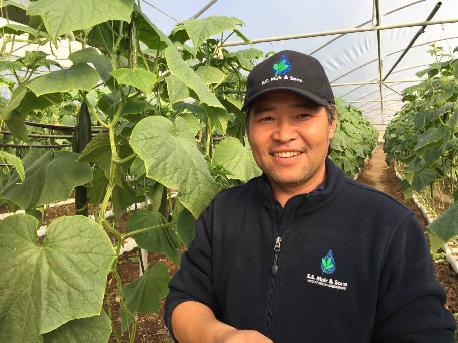 NEW LIFE: Qld vegetable grower Tommy Le says he is extremely thankful at being given a second chance at life after fleeing Vietnam as a young boy. 