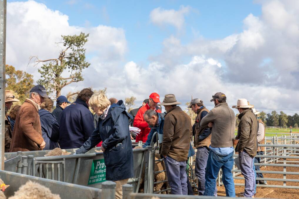 Sheep producers attending a weaning workshop recently at Pooginook facilitated by Rick White, Bayer Grow team manager, and Rob Inglis, Elders Livestock Production Manager.
