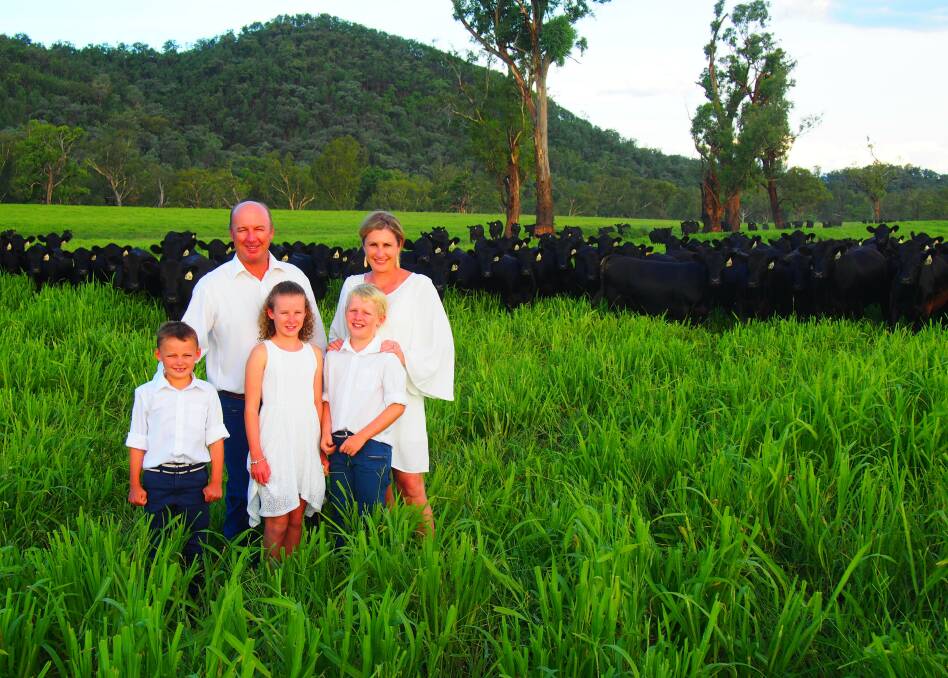 94 YEARS OF BREEDING: Sinclair and Jo Munro with their children Barnaby, Arabella and Digby with their Angus cattle at Keera, Bingara, NSW.