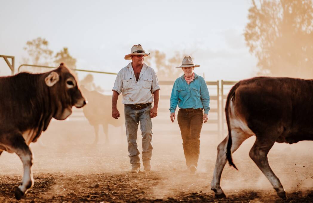 PUTTING FEEDBACK TO WORK: Robert and Melinee Leather with cattle on their Central Queensland beef operation. Image: Jessica Howard
