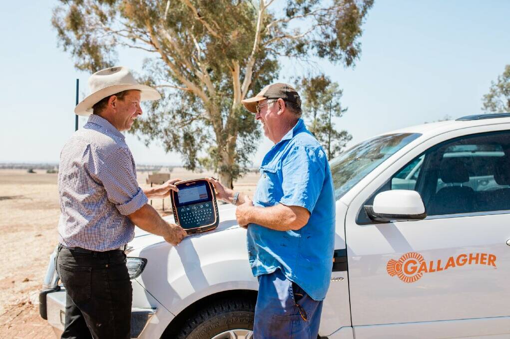 Robust and accurate, technology simplifies livestock management