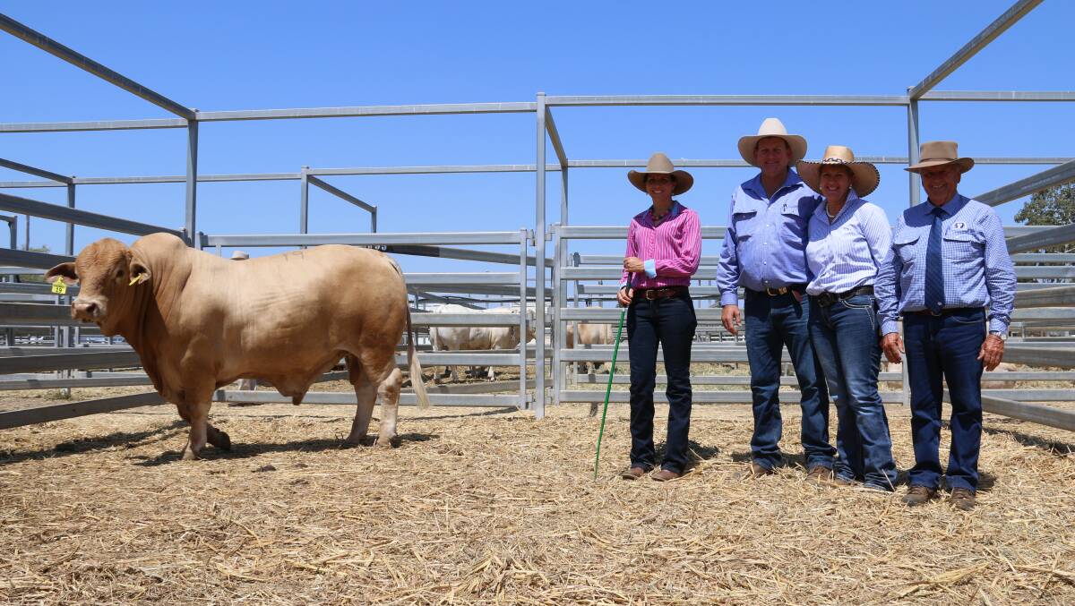 $24,000 top price bull Marlegoo Leo with vendor, Cherie Gooding and purchasers George & Cathy Hoare, Braylyn Charbrays with SBB representative Neville Messer
