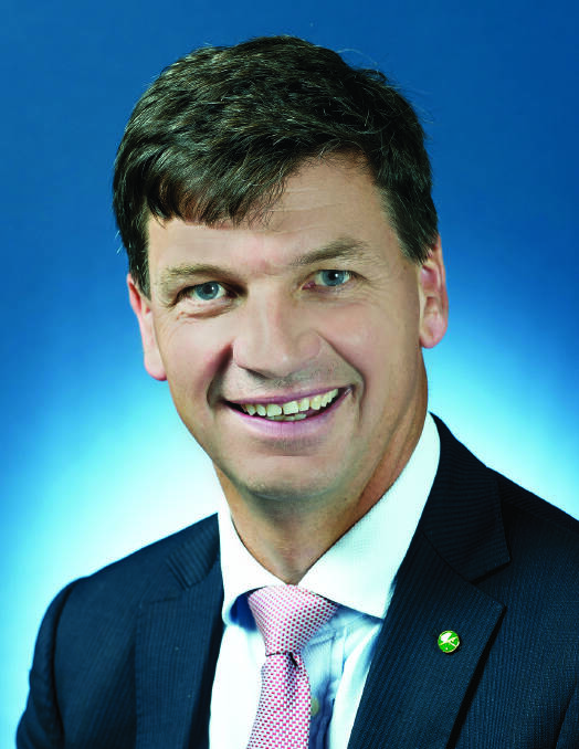 BIG GAS FAN: Federal Energy and Emissions Reduction Minister Angus Taylor. 
