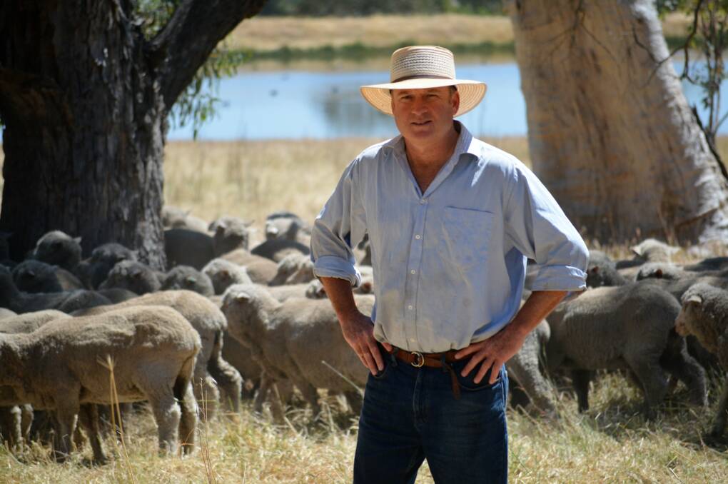 INDEPENDENT CALL: President of WoolProducers Australia, Ed Storey, is seeking nominations from woolgrowers to fill three positions as independent directors on the peak Canberra-based body. 
