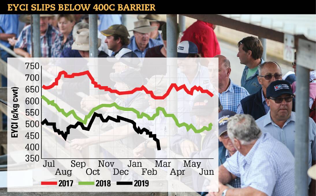 The benchmark Eastern Young Cattle Indicator, a guide to the health of the beef market, dipped below the 400c a kg mark this week as drought continued to drive more cattle to slaughter.    